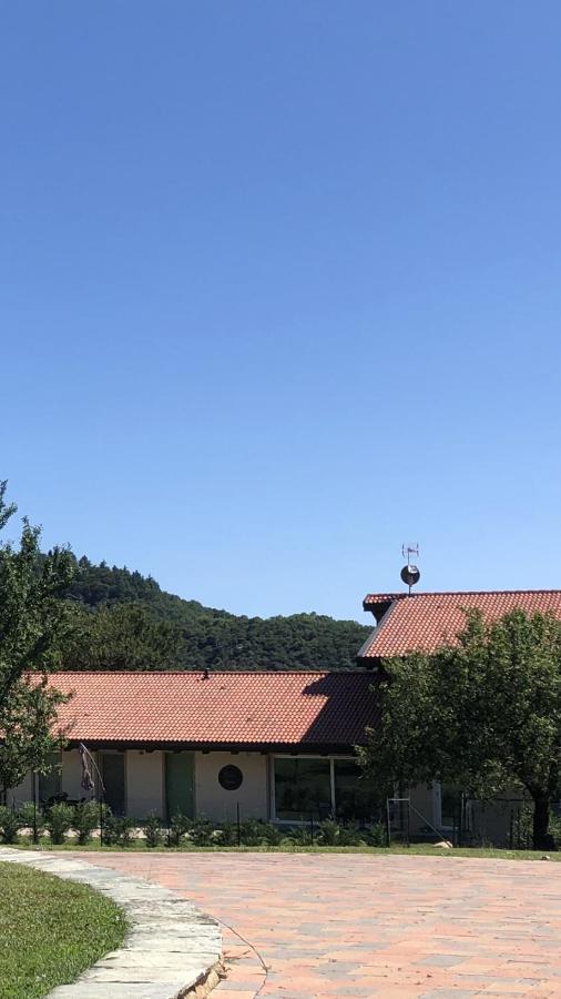 Cintano Il Vecchio Comune B&B מראה חיצוני תמונה